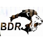 BDR PHARMASEUTICALS