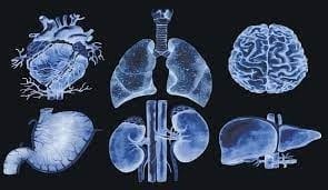 Prevention of organ rejection in transplant patients